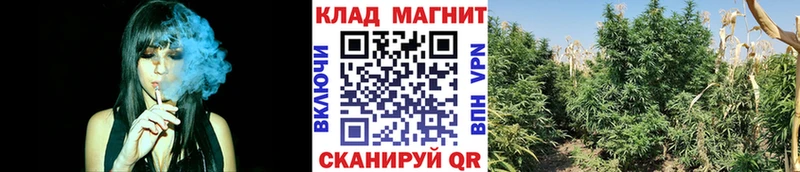 Купить наркоту Ясногорск Гашиш  Кокаин  СК  МЕФ 