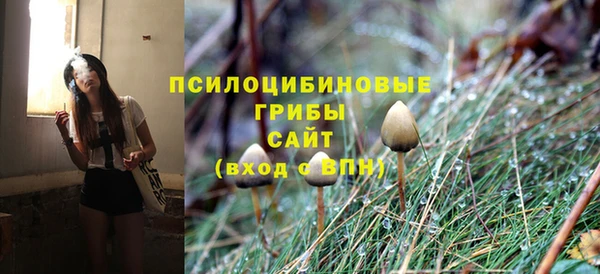крисы Арсеньев