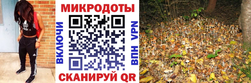 где купить наркоту Ясногорск Псилоцибиновые грибы ЛСД